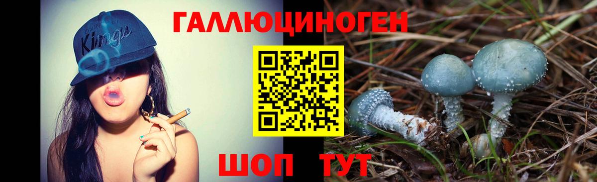 Галлюциногенные грибы мухоморы  Псилоцибиновые грибы Cubensis  Вход с VPN  Серов 